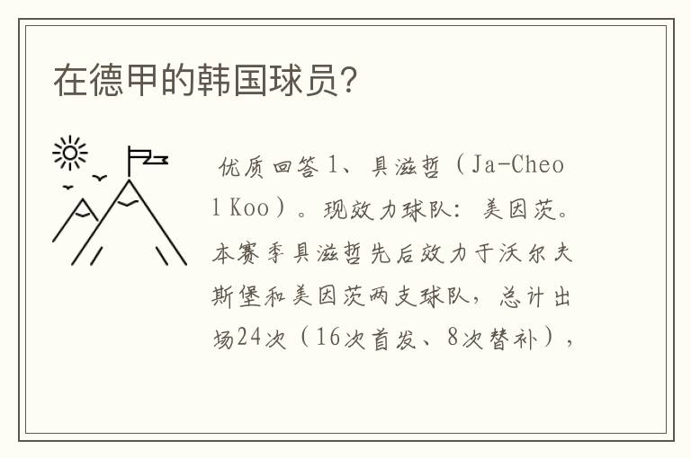 在德甲的韩国球员?