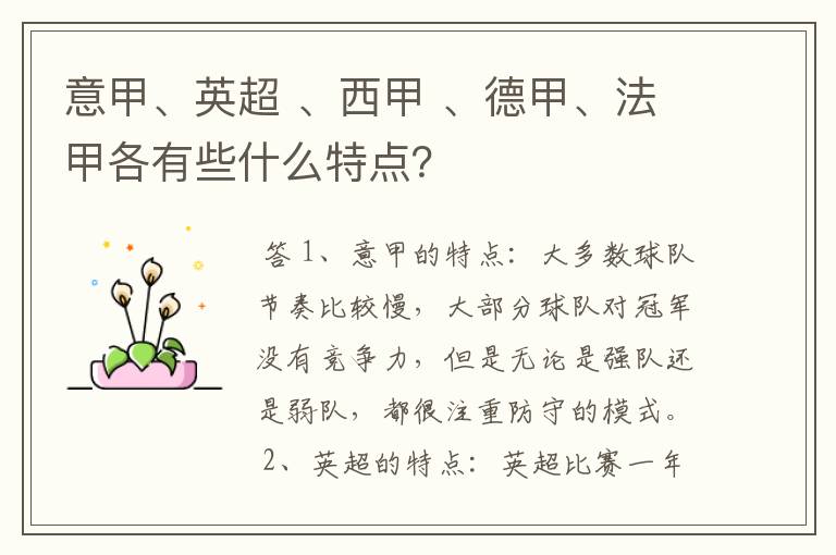 意甲、英超 、西甲 、德甲、法甲各有些什么特点?