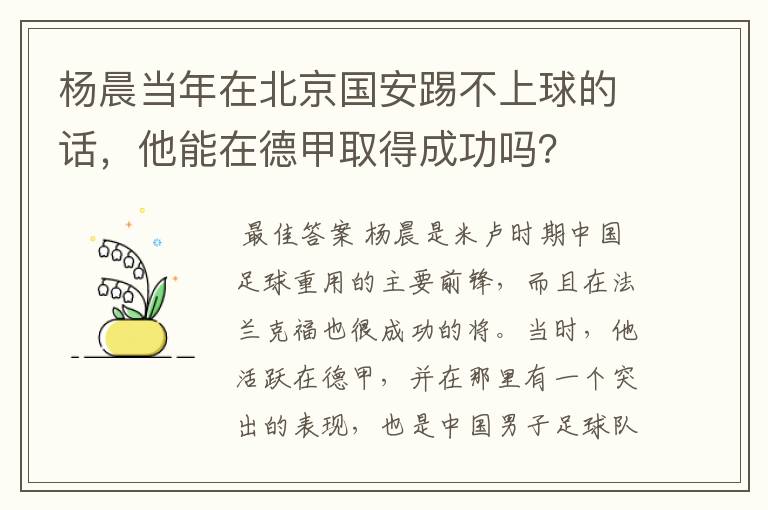 杨晨当年在北京国安踢不上球的话,他能在德甲取得成功吗?