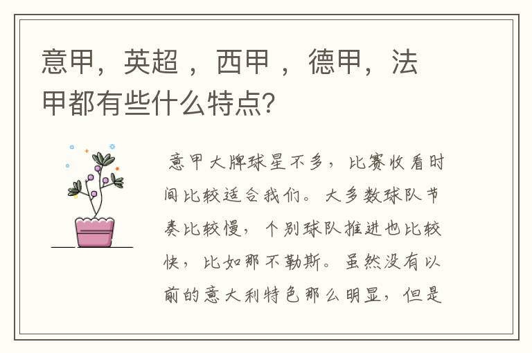 意甲,英超 ,西甲 ,德甲,法甲都有些什么特点?