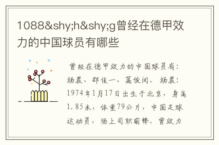 1088hg曾经在德甲效力的中国球员有哪些