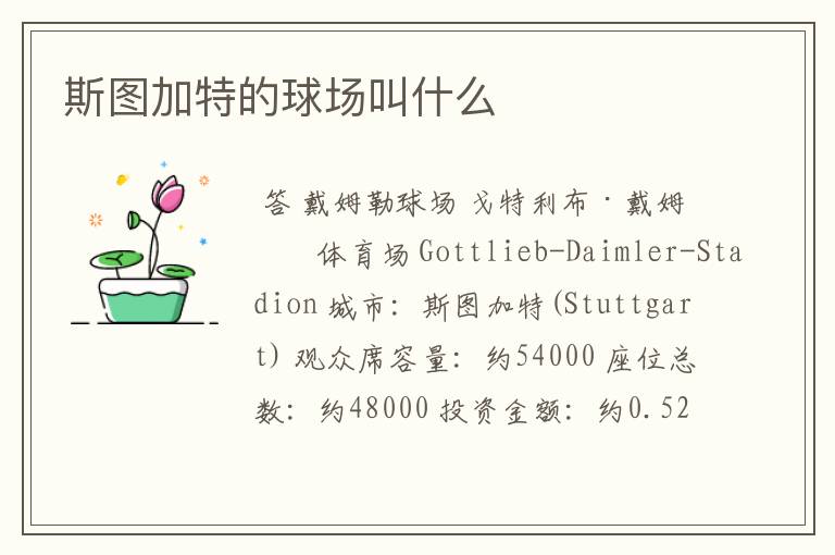 斯图加特的球场叫什么