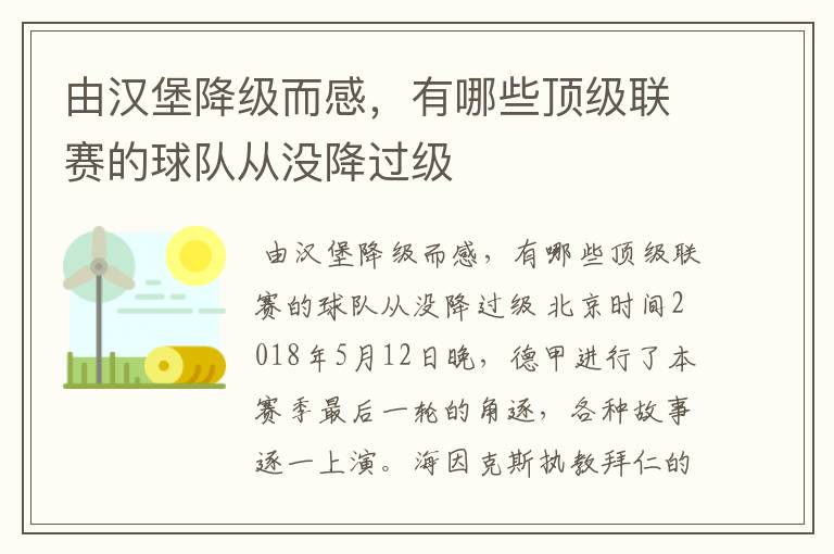 由汉堡降级而感,有哪些顶级联赛的球队从没降过级