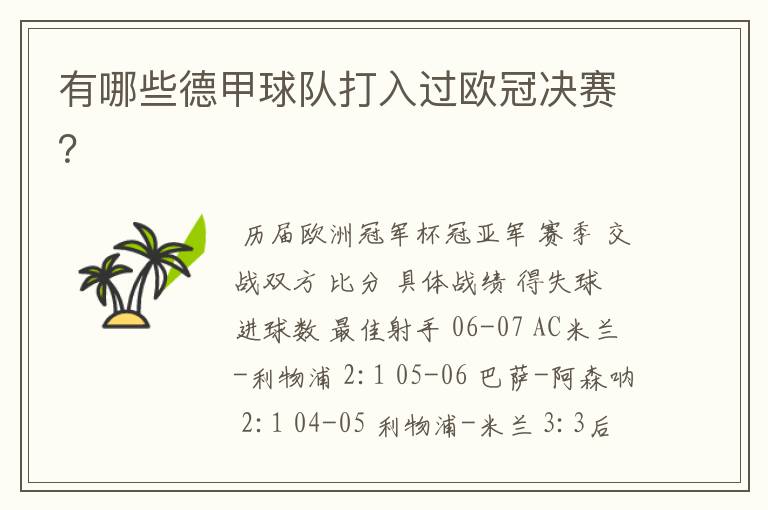 有哪些德甲球队打入过欧冠决赛?