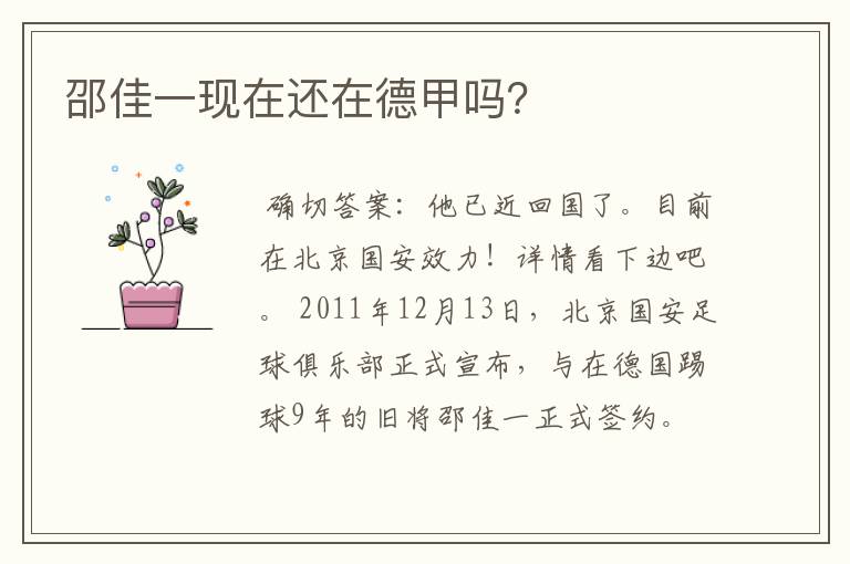 邵佳一现在还在德甲吗?