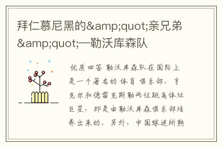 拜仁慕尼黑的"亲兄弟"—勒沃库森队