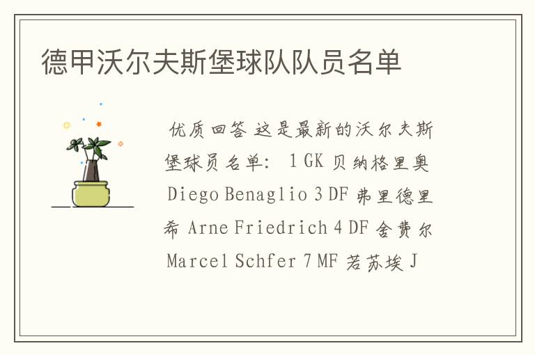 德甲沃尔夫斯堡球队队员名单