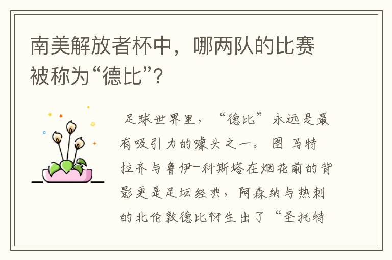 南美解放者杯中,哪两队的比赛被称为“德比”?