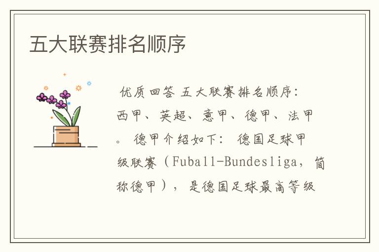 五大联赛排名顺序