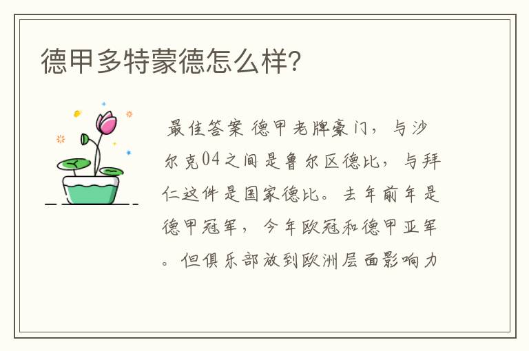 德甲多特蒙德怎么样?