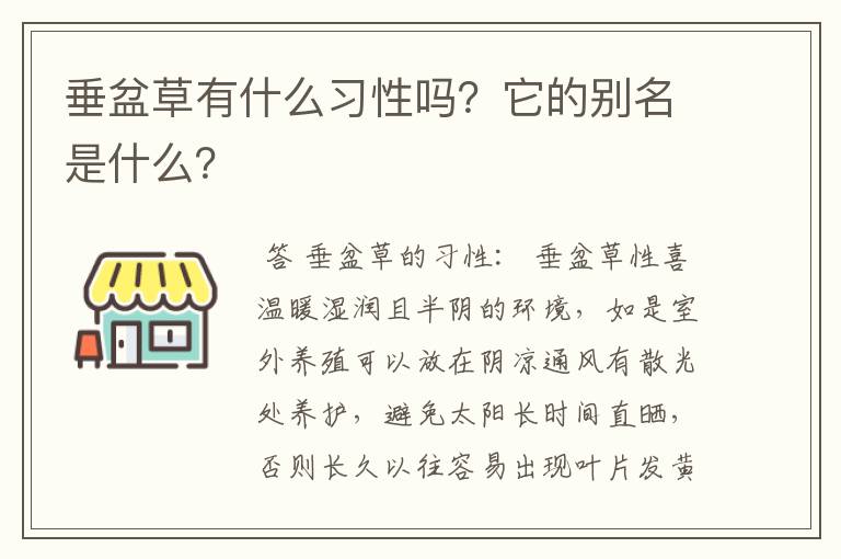 垂盆草有什么习性吗?它的别名是什么?