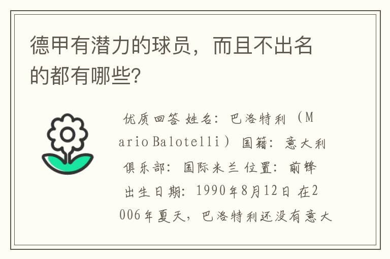 德甲有潜力的球员,而且不出名的都有哪些?