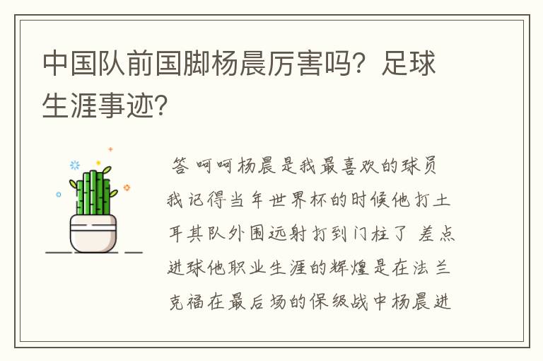 中国队前国脚杨晨厉害吗?足球生涯事迹?