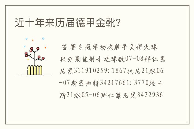近十年来历届德甲金靴?