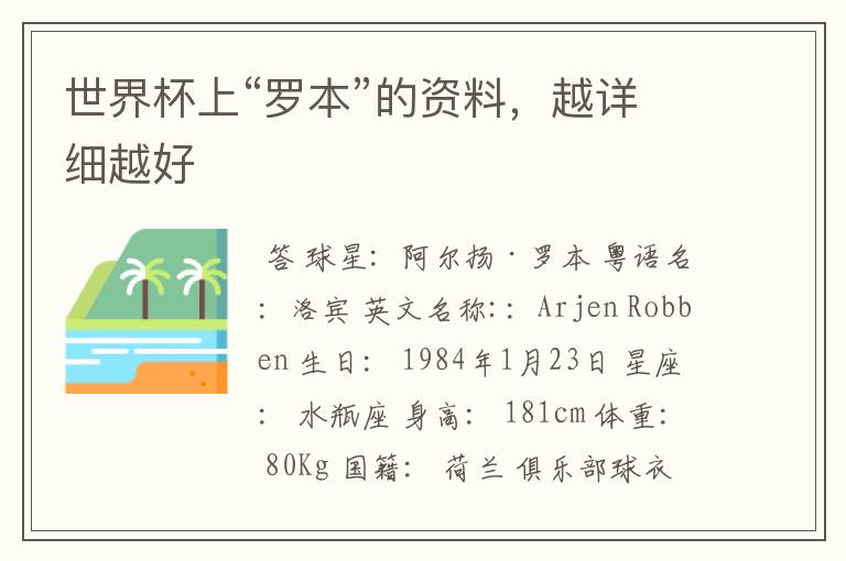 世界杯上“罗本”的资料,越详细越好