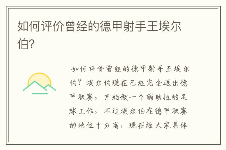 如何评价曾经的德甲射手王埃尔伯?
