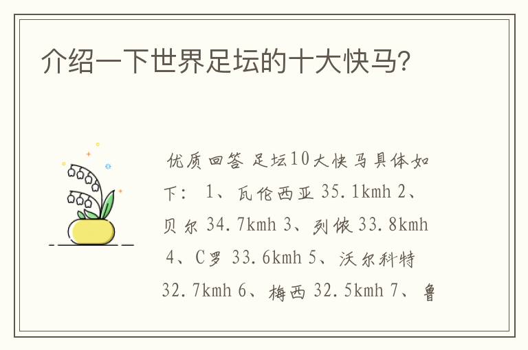 介绍一下世界足坛的十大快马?