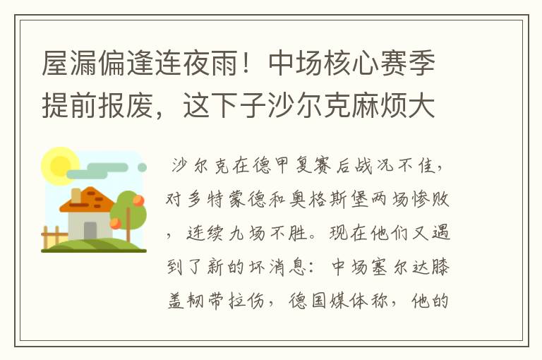 屋漏偏逢连夜雨!中场核心赛季提前报废,这下子沙尔克麻烦大了
