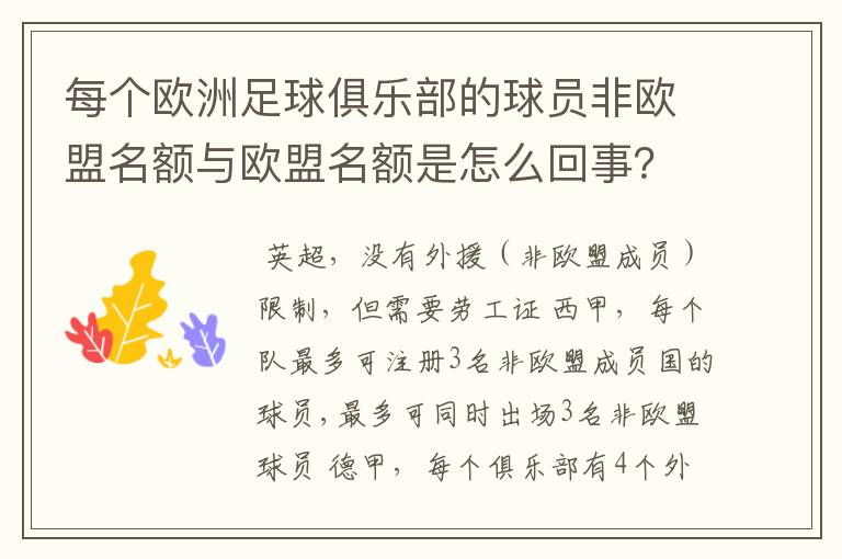 每个欧洲足球俱乐部的球员非欧盟名额与欧盟名额是怎么回事?