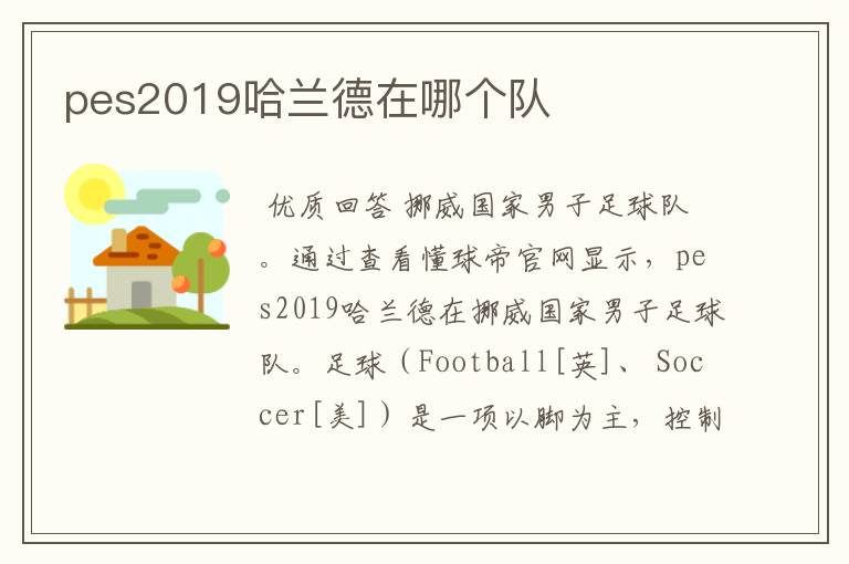pes2019哈兰德在哪个队