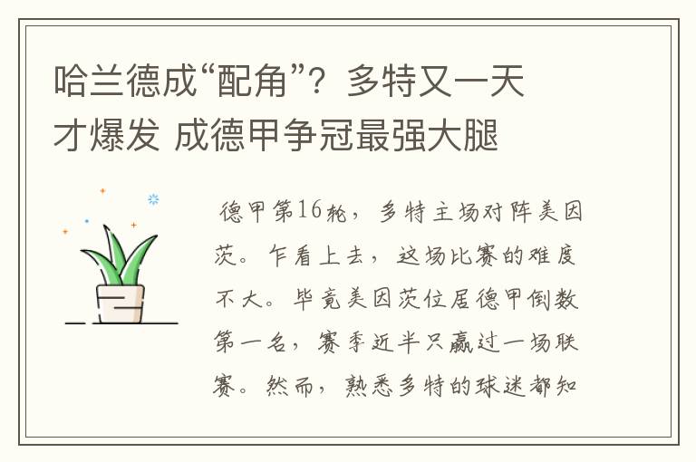 哈兰德成“配角”?多特又一天才爆发 成德甲争冠最强大腿