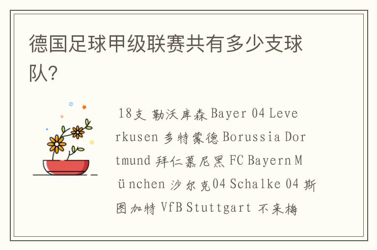 德国足球甲级联赛共有多少支球队?
