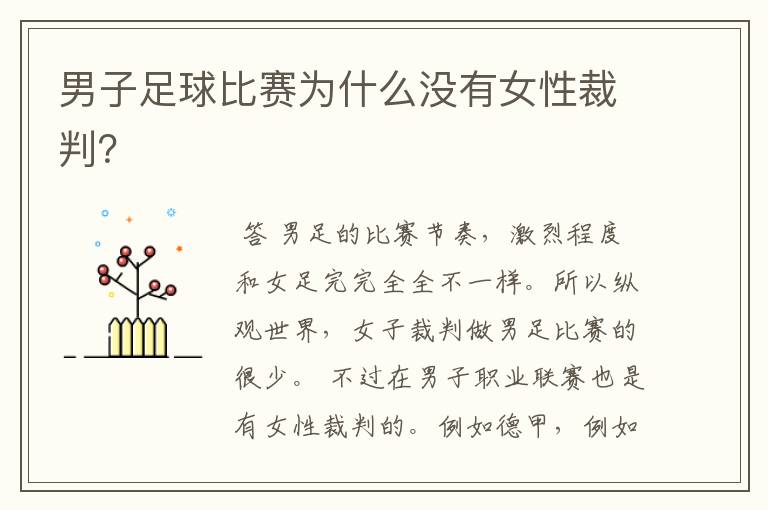 男子足球比赛为什么没有女性裁判?