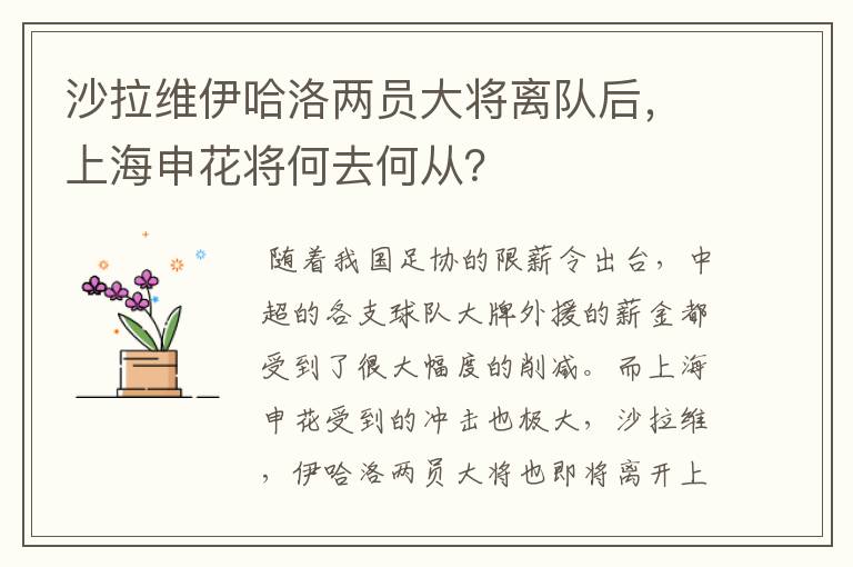 沙拉维伊哈洛两员大将离队后,上海申花将何去何从?