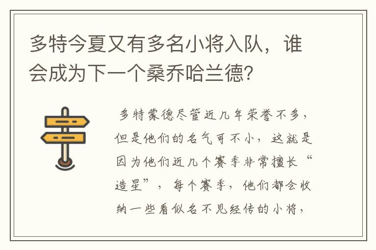 多特今夏又有多名小将入队,谁会成为下一个桑乔哈兰德?
