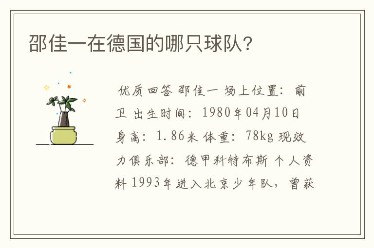 邵佳一在德国的哪只球队?