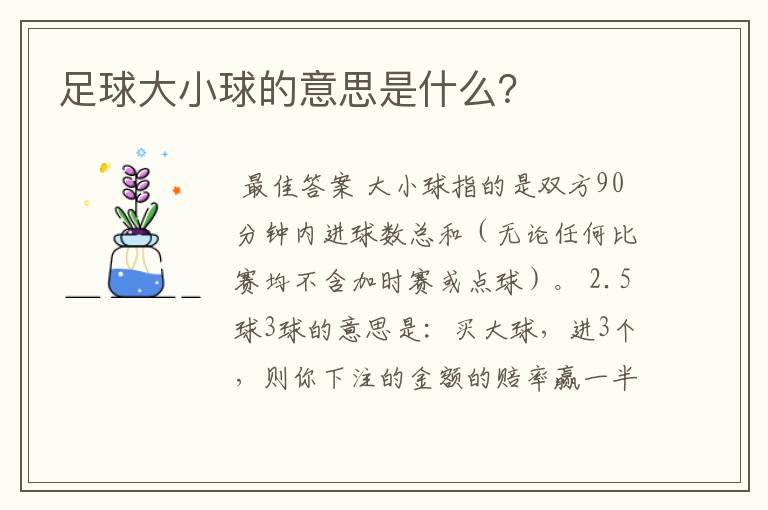 足球大小球的意思是什么?