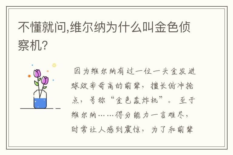 不懂就问,维尔纳为什么叫金色侦察机?