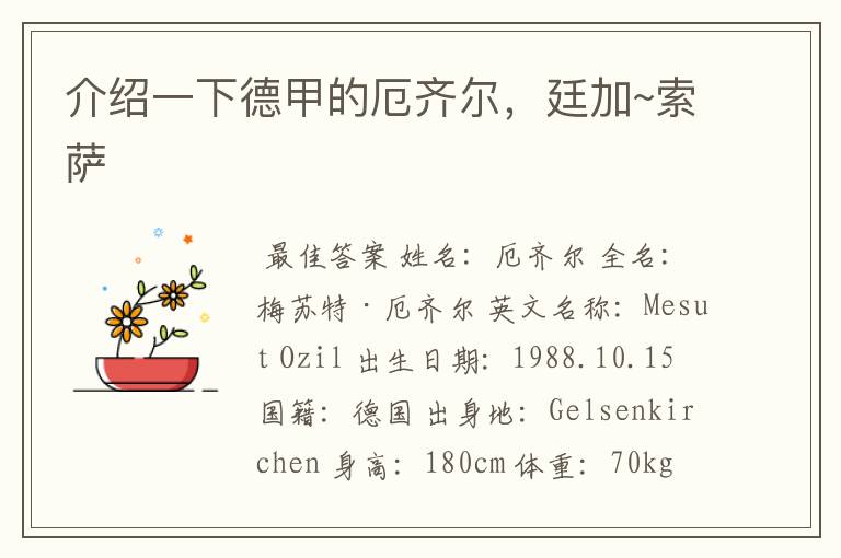 介绍一下德甲的厄齐尔,廷加~索萨