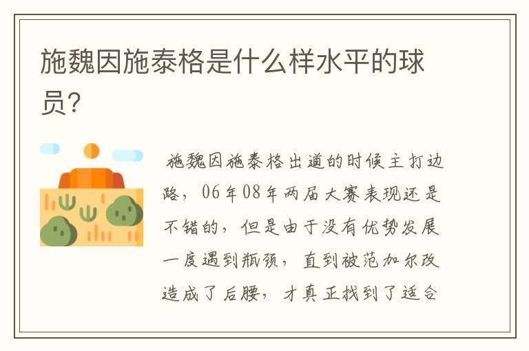 施魏因施泰格是什么样水平的球员?