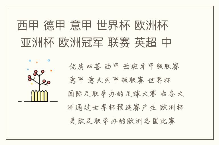 西甲 德甲 意甲 世界杯 欧洲杯 亚洲杯 欧洲冠军 联赛 英超 中超 分别是什么意思啊?