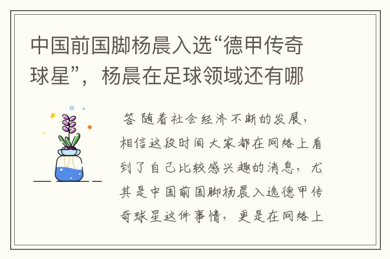中国前国脚杨晨入选“德甲传奇球星”,杨晨在足球领域还有哪些成就?