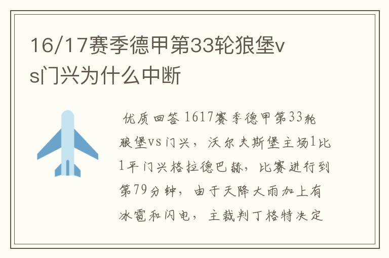 16/17赛季德甲第33轮狼堡vs门兴为什么中断