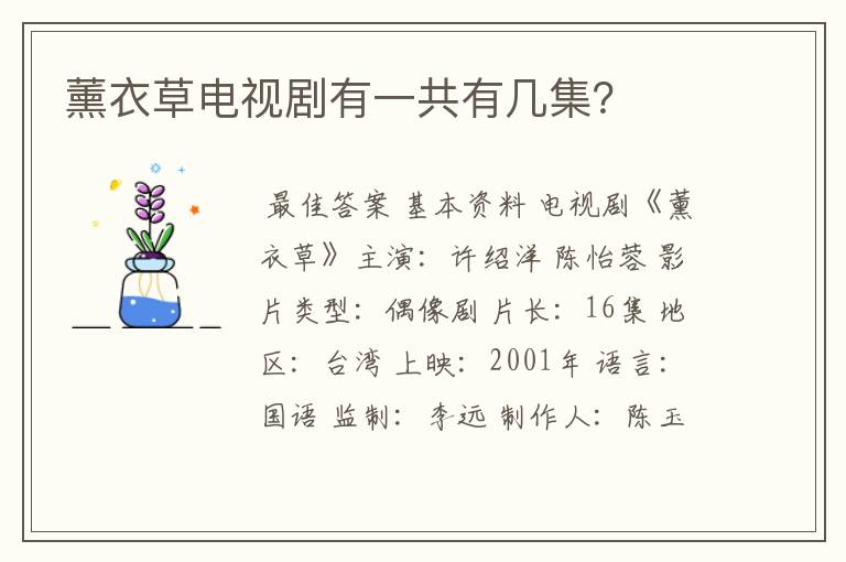 薰衣草电视剧有一共有几集?