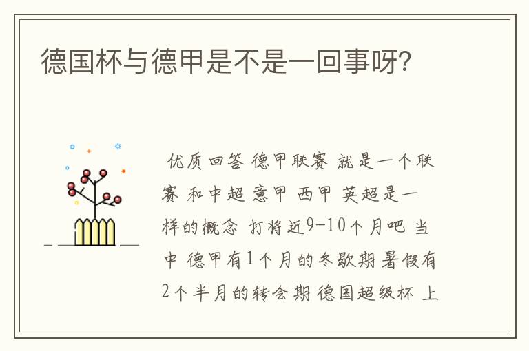 德国杯与德甲是不是一回事呀?