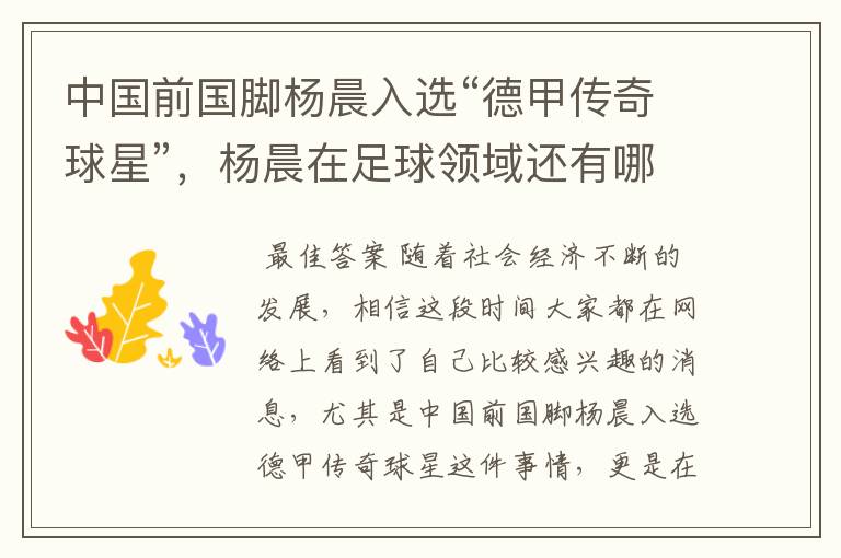 中国前国脚杨晨入选“德甲传奇球星”,杨晨在足球领域还有哪些成就?