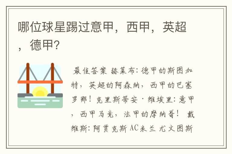 哪位球星踢过意甲,西甲,英超,德甲?