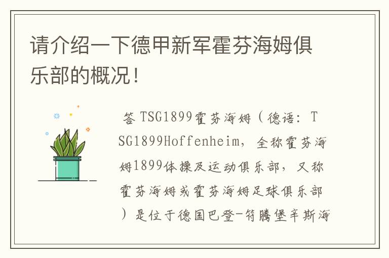 请介绍一下德甲新军霍芬海姆俱乐部的概况!
