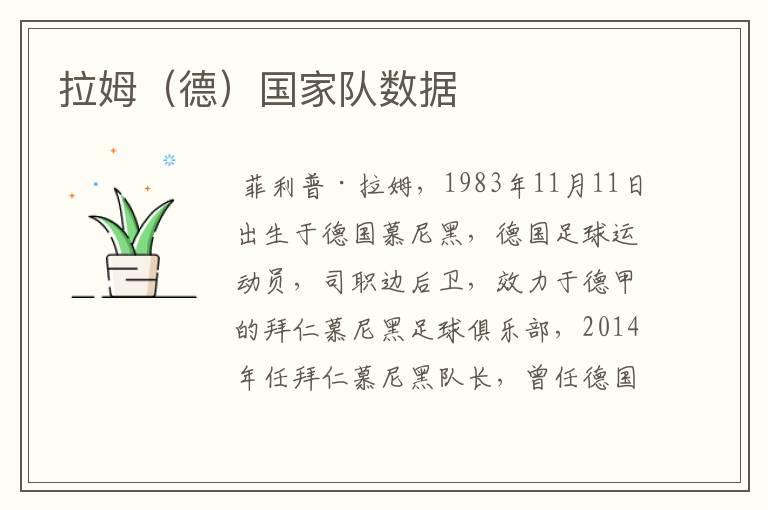 拉姆(德)国家队数据