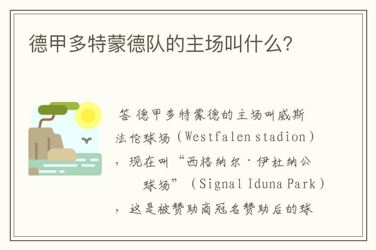 德甲多特蒙德队的主场叫什么?