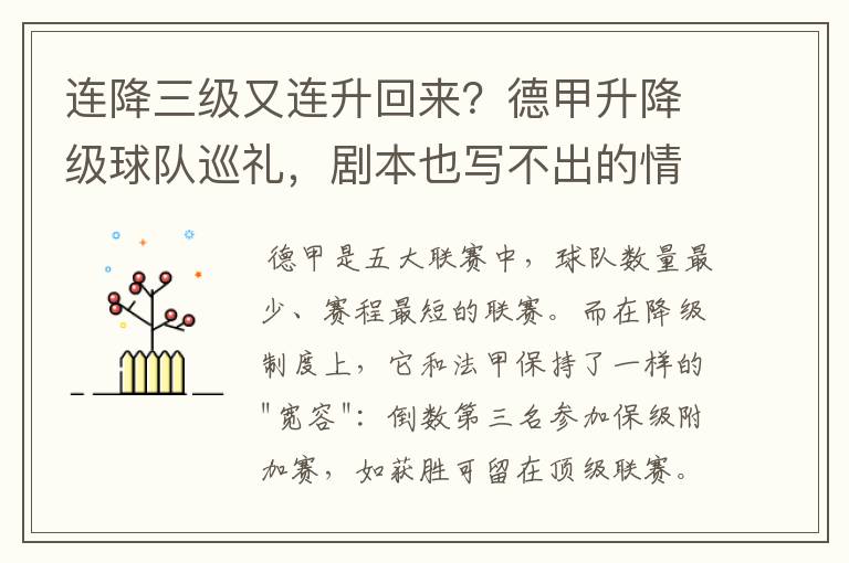 连降三级又连升回来?德甲升降级球队巡礼,剧本也写不出的情节