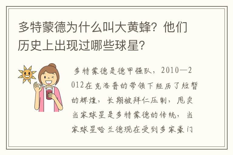 多特蒙德为什么叫大黄蜂?他们历史上出现过哪些球星?