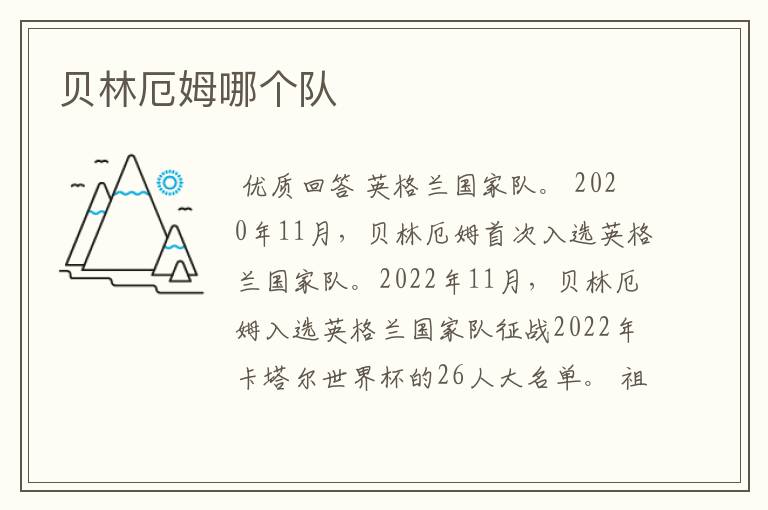 贝林厄姆哪个队