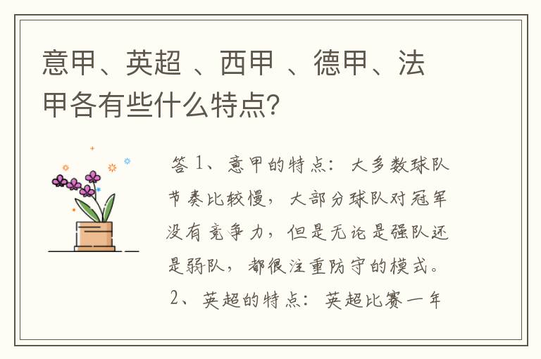 意甲、英超 、西甲 、德甲、法甲各有些什么特点?
