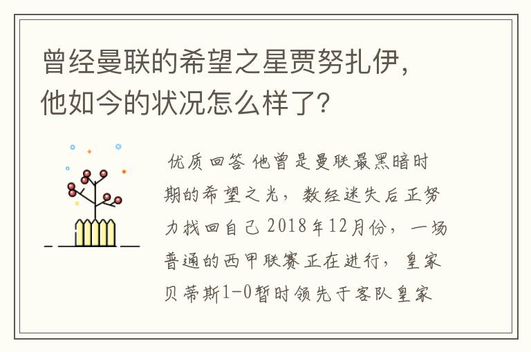曾经曼联的希望之星贾努扎伊,他如今的状况怎么样了?