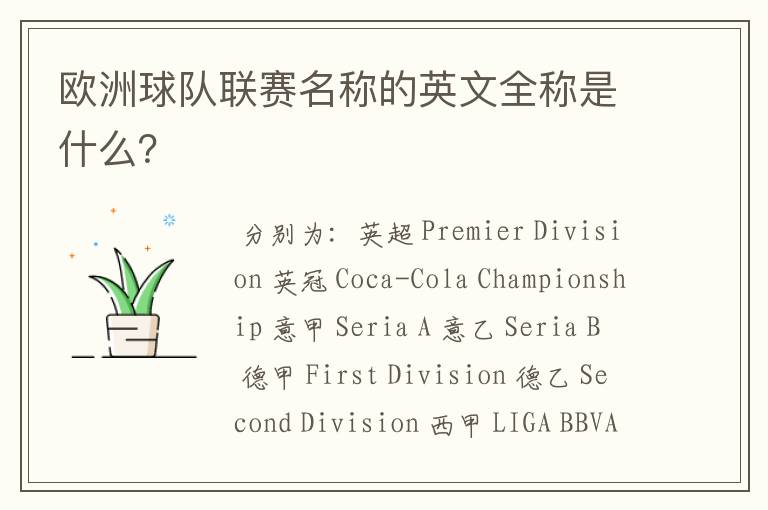 欧洲球队联赛名称的英文全称是什么？